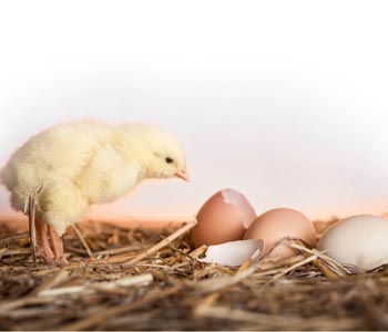 Nos concepts et nos approches