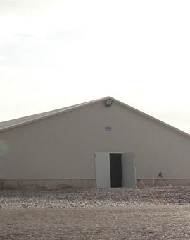 HALE DE REPRODUCTIE BUNICI