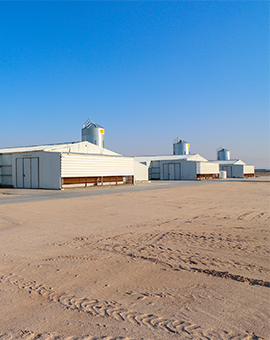 Prefabricated houses